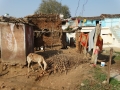 Khajuraho is zichtbaar een arm dorp